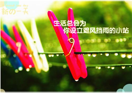 春节年货广告语